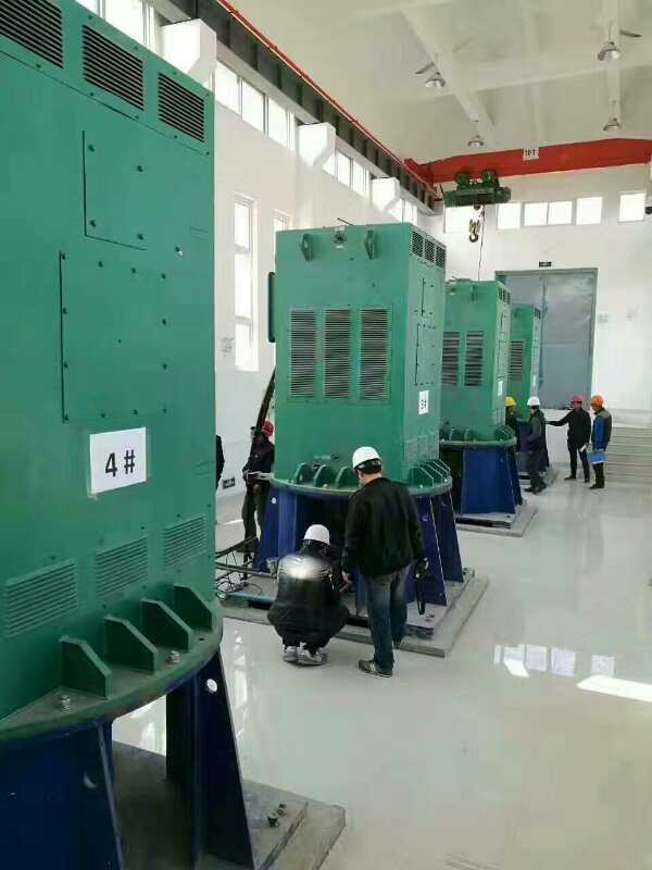 YKK5005-4某污水处理厂使用我厂的立式高压电机安装现场
